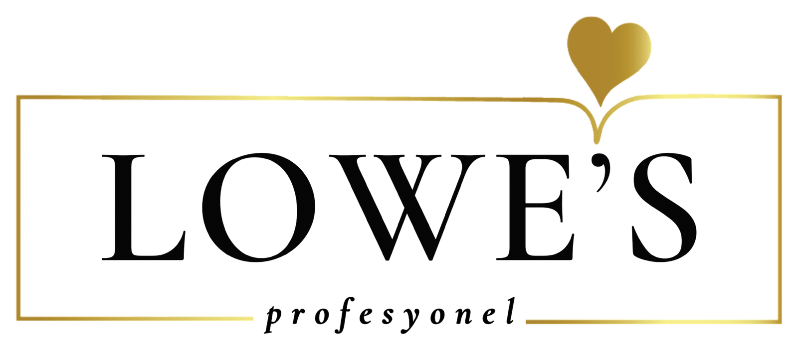 LOWE'S profesyonel — official logo